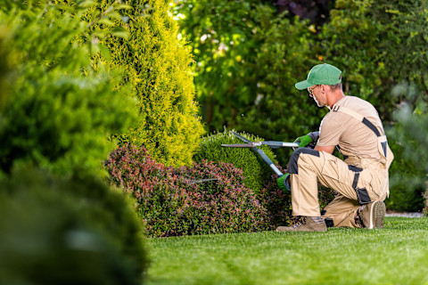 landscaping