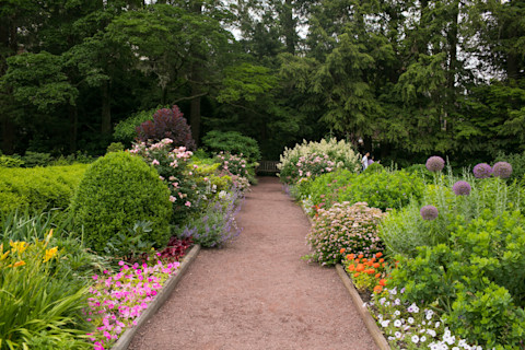 A path in a garden filled with beautiful flowers and green trees.