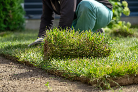 A person kneels on the ground, laying down fresh grass sod on bare soil in a garden. A roll of artificial grass sits in the forefront of the picture, on top of the freshly laid down grass.