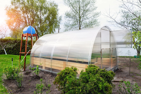 wooden-base-greenhouse