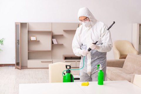 A pest control worker prepares equipment for treatment in a clean, modern-looking living room.