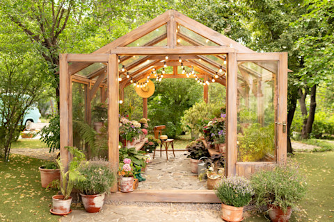 A wooden garden greenhouse with glass walls and ceiling. Open doors reveal numerous potted plants inside and in front of the doors.