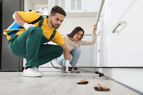 A pest control technician and a woman crouch and look at dead cockroaches on a white kitchen floor.