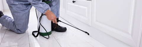 A close-up shows a pest control worker’s hand spraying chemicals. The nozzle releases a fine mist.
