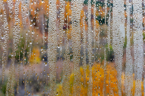 Shot from inside a room of a window with condensation droplets on it. Colorful autumn foliage is visible outside.