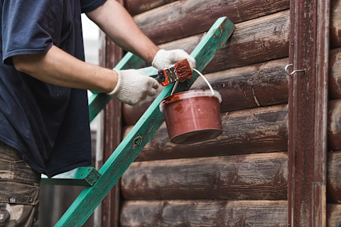 A man stands in front of a wooden cabin holding a bucket of red paint and a paintbrush with red paint on it. A wooden ladder painted aquamarine is leaning against the cabin.