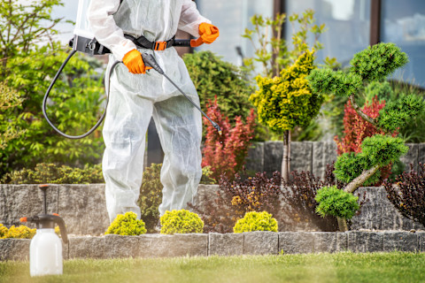 A pest control pro in protective gear spraying product in a garden bed.