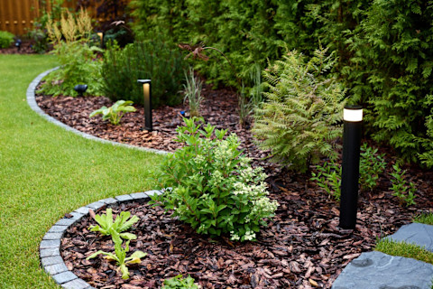 A garden with green grass and round borders with tiles and bushes.