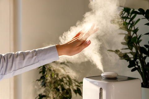 Air purifier vs humidifier 3