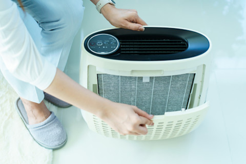 Air purifier vs humidifier 2