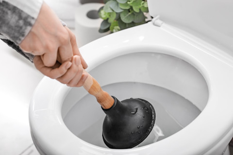clogged toilet
