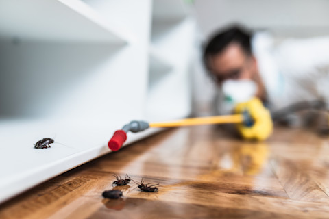 A man performs pest control service with a sprayer. He treats indoor surfaces methodically.