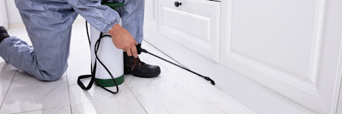 A close-up shows a pest control worker’s hand spraying chemicals. The nozzle releases a fine mist.