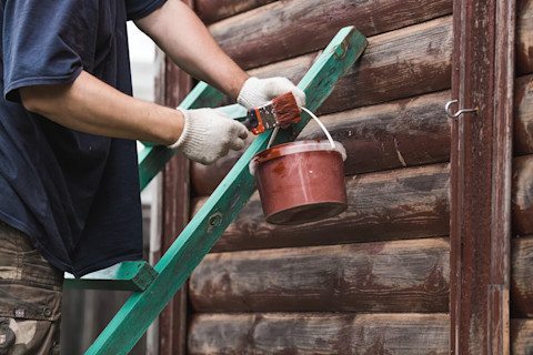 A man stands in front of a wooden cabin holding a bucket of red paint and a paintbrush with red paint on it. A wooden ladder painted aquamarine is leaning against the cabin.