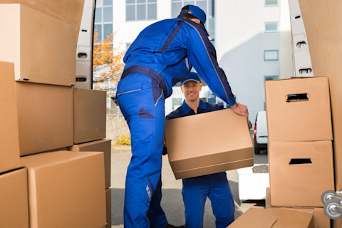 moving boxes