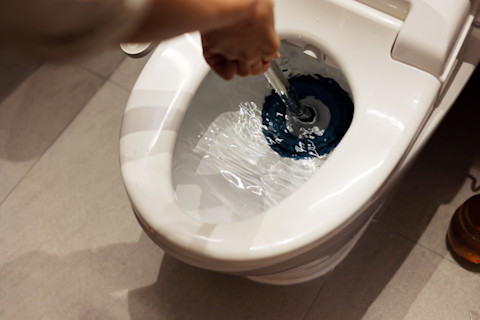 clogged toilet