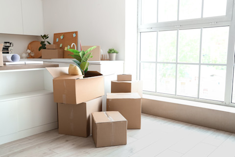 moving boxes