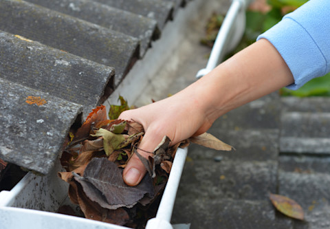This image shows a closeup of a gutter cleaning pro taking leaves out of a gutter.