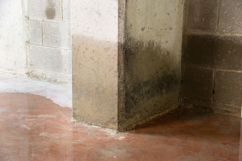 water-damaged-basement