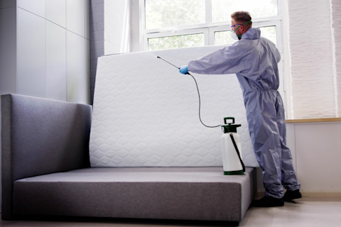 Professional bed bug extermination in progress using chemical spray treatment on a mattress. The pest control technician ensures thorough disinfection to eliminate bed bug infestations and prevent recurrence. Bed bug removal improves sleep hygiene, safety, and overall indoor health.