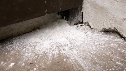 Insecticide power sprinkled along walls