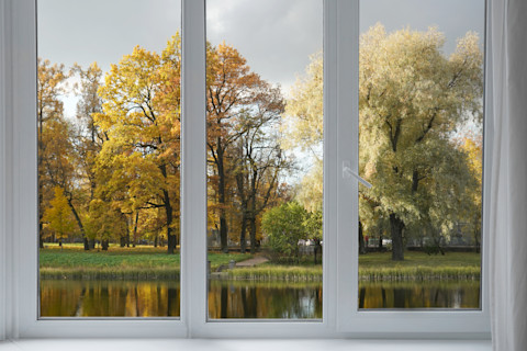 A window frame looks out onto yellow autumn trees. Natural light fills the interior through the glass.