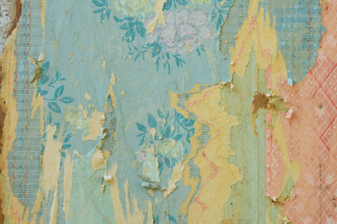 Closeup of peeling layers of various wallpaper, most of which is a blue flower design.