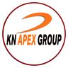 KING N8TION APEX GROUP LTD