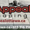 Curb Appeal Landscaping