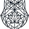 Snow owl finishes