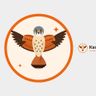 Kestrel commercial cleaning