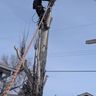 Top To Bottom Tree Service Inc