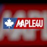 Maple Pro-Lock and Door Automation
