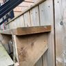 the carpenter beaver