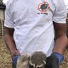 K5 Wildlife Services