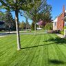 MS Property Maintenance