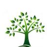 K.J.property services