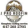 AI Pro Roofing Inc