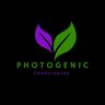 Photogenic Landscaping