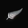 Silverfern Property Services