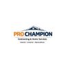 ProChampion Painting
