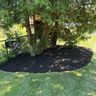 Driscoll Landscape Construction