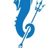 Olympic Pool Services