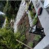 Zewdnesh landscaping and cleaning services