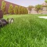 Green Haven Landscapes