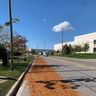 Goldline Landscape