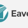 Eaves Experts