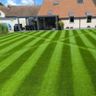 Gondal grass cut