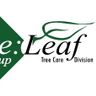 The Re:Leaf Group