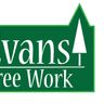 Evans Tree Work